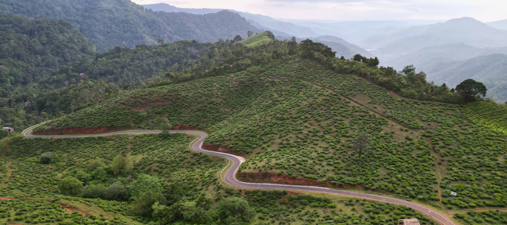 2-day Gavi itinerary from Kochi / Trivandrum / Madurai