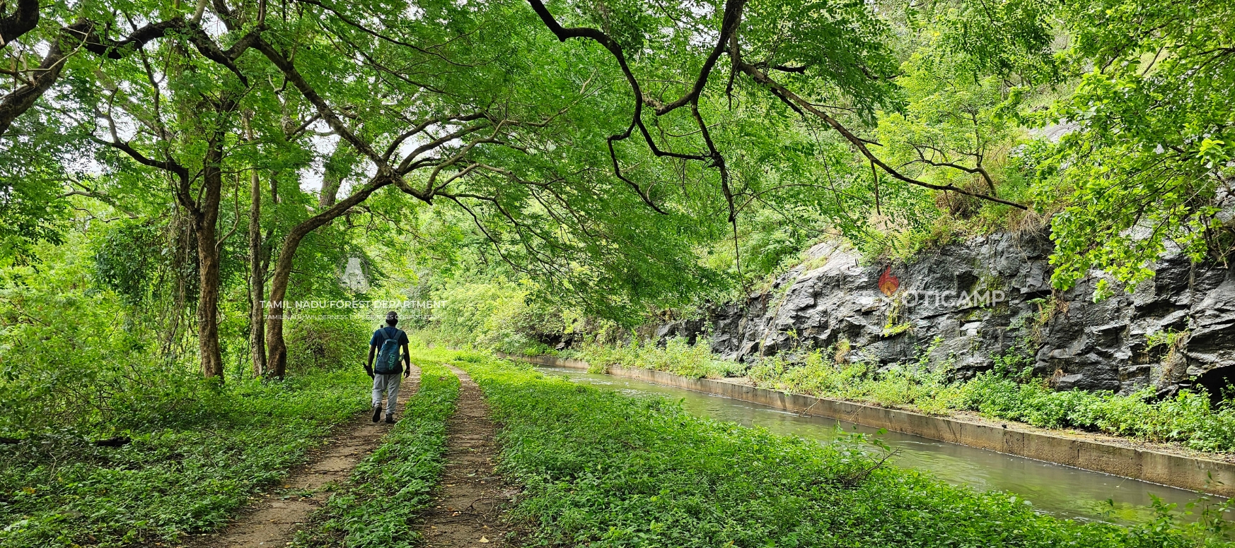Aliyar Canal Bank Trek- Forest Walk in Pollachi