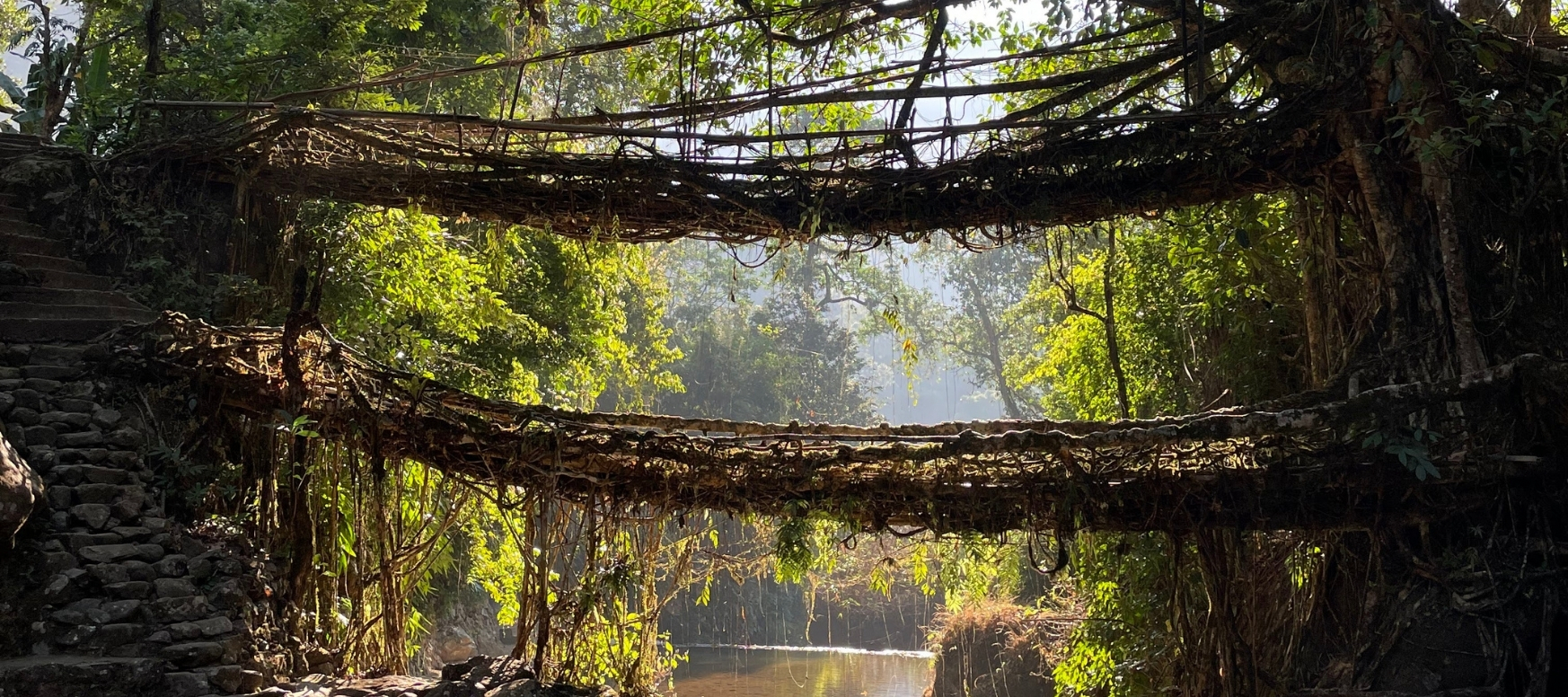 Meghalaya Tour Package from Guwahati: Complete 5-Day Plan (2026 Guide)