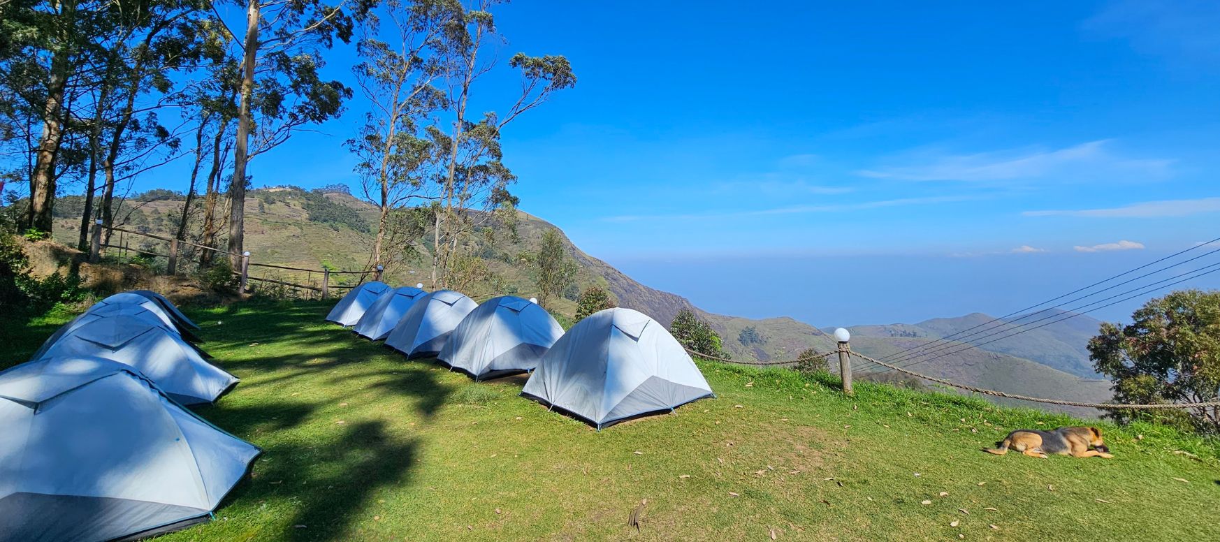 pop up zelt abbau STAHLWERK Campingzelt Z-273 ST 273 x 273 cm selbstaufbauendes Pop-Up-Zelt | Wurfzelt | Igluzelt | Faltzelt | Kuppelzelt | Trekkingzelt Porsche Boxster 987 (2005-2006) S 3.2L BMC Kaius 01 One Farben:Cosmic Sand
