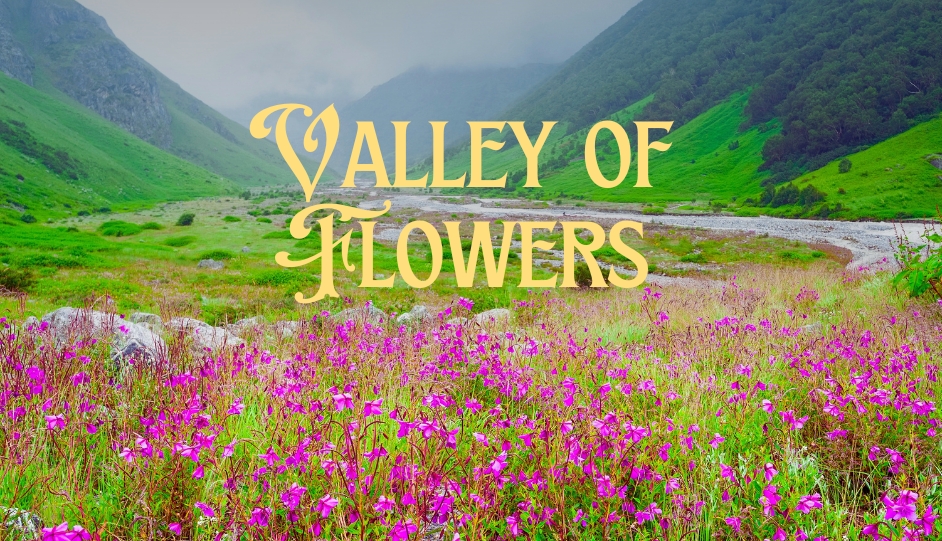 hemkund valley of flowers